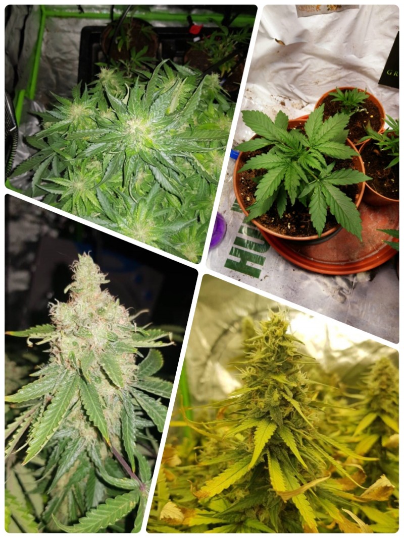 9FF3FA3D-A9C5-4140-BF8D-87EDECD9715E