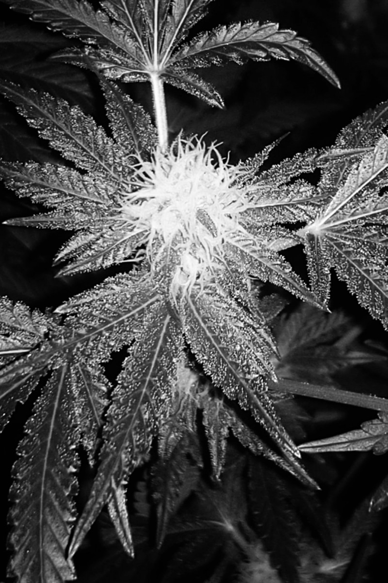 7D7DE256-4AE1-4367-8DFD-537D567063E5