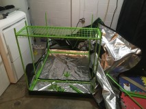 9C115BDD-13DB-4FB9-B711-7B6762BB192F