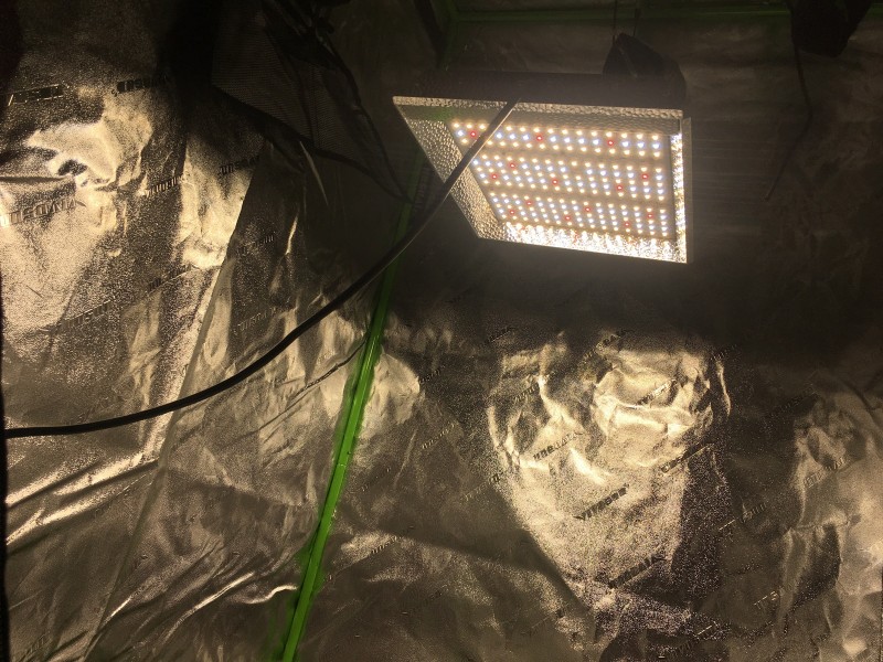 B5B4BB4A-D4D6-419C-BEDD-D9B343CC3C91