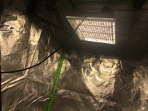 B5B4BB4A-D4D6-419C-BEDD-D9B343CC3C91