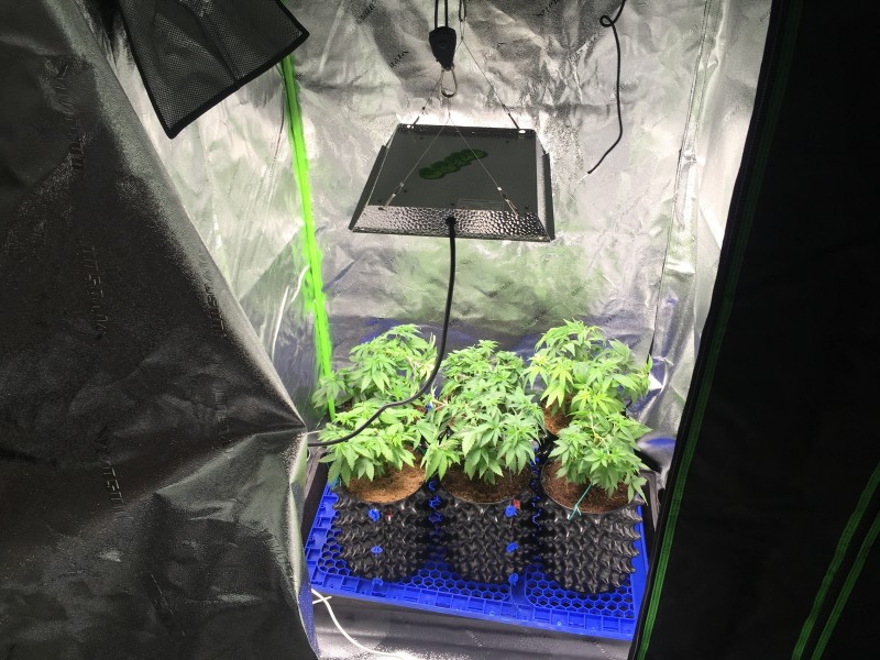 36CF5C3E-7B61-4854-84D1-1EC6CABCADAA