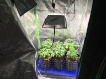 36CF5C3E-7B61-4854-84D1-1EC6CABCADAA