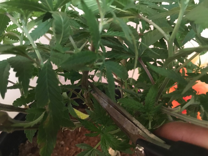 DACD1C68-4622-4EE1-AB1A-211B32C73293