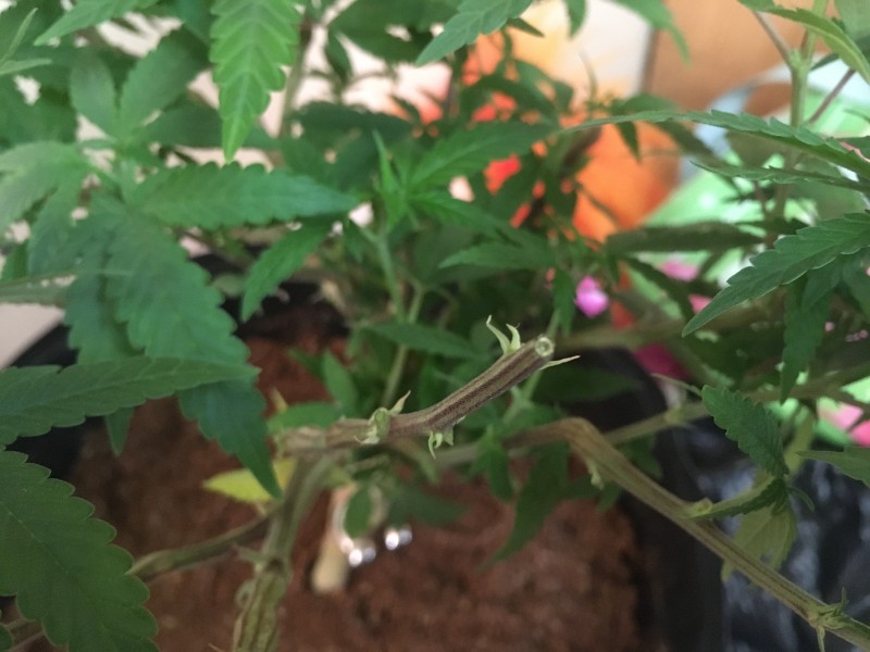 00D438C5-6951-4FDD-8995-EACF3C0D680D