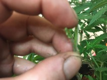 AC71573B-B971-48AD-8EFC-AFF75F2FD1B9