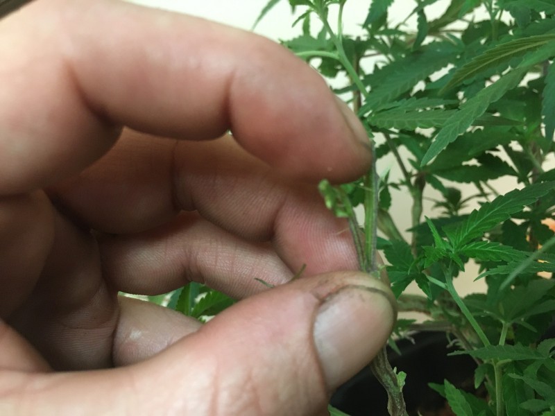 0F9666AC-F930-4653-A27B-273D2464F755