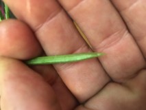 A74E5D06-9951-4409-87E0-76D64055ED6B