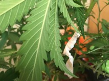 79634B33-21E2-434E-9098-CF4A53980984