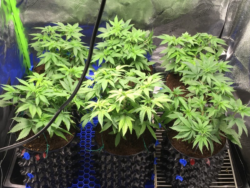 ED65704F-DA0C-41DB-9E4E-008E1F1401CF