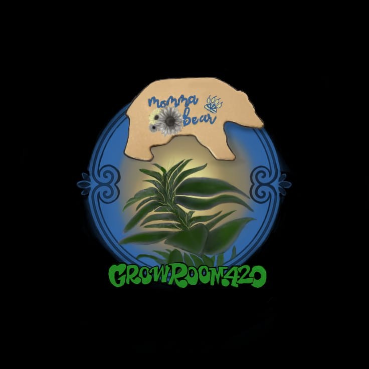 BFD55ED4-5418-4431-A5FC-BE0125C52274