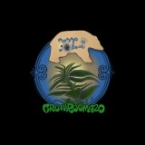 BFD55ED4-5418-4431-A5FC-BE0125C52274