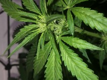 3763B0E6-886A-4484-9C5D-52BA97994A59