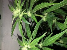 4874FC1C-B6B3-4985-8283-2A2DC0DFB591