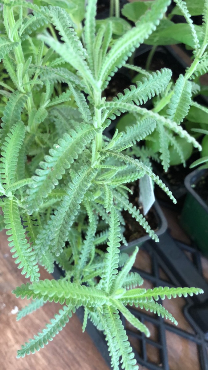 F9731427-E85D-41FC-B8A3-470584C5129A