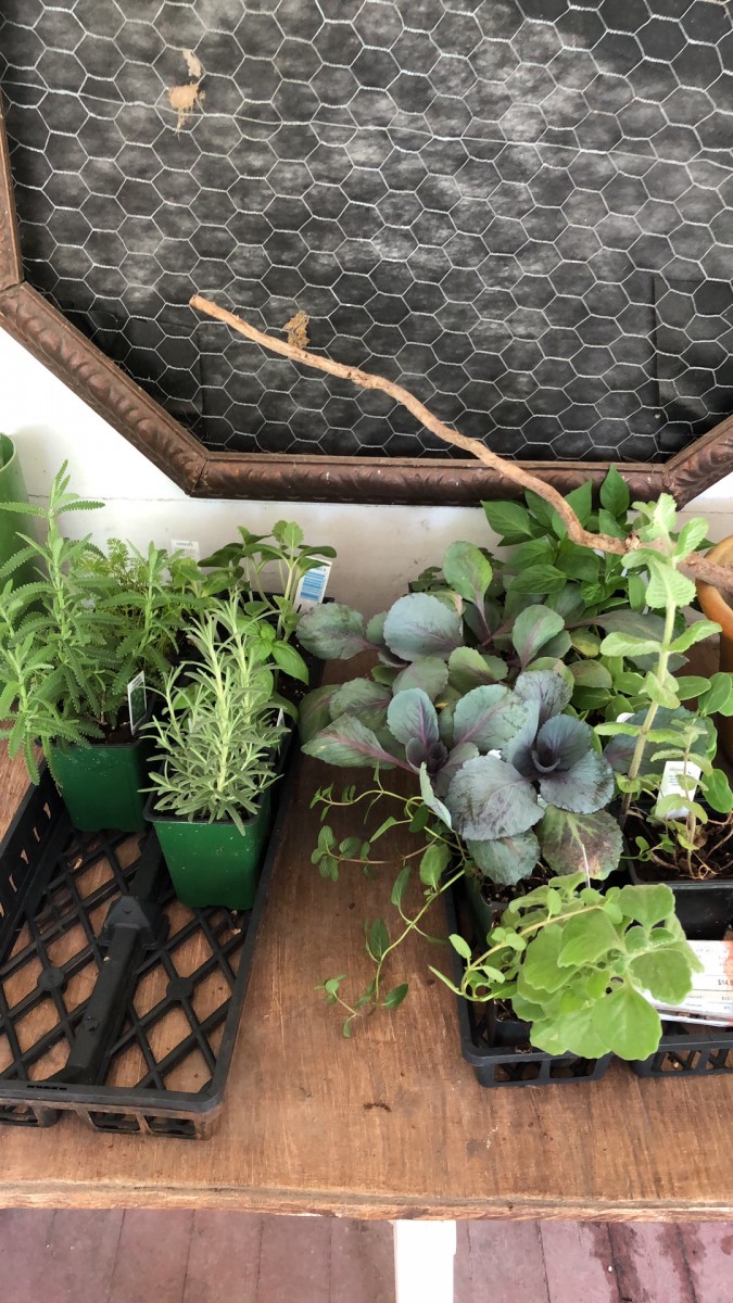 2B6DAF78-AEE1-412A-A0C1-812825E2FECC