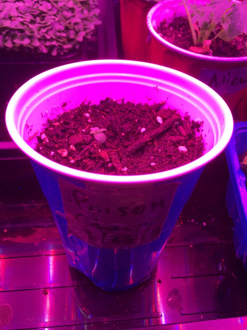 1BABF94A-BFD0-4151-B3B5-4CC102F954DA