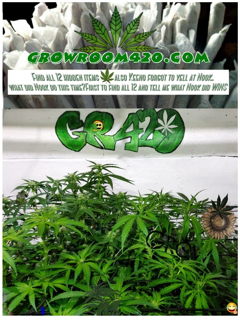 f1e72aba-573a-4291-99fa-b03d62860a24