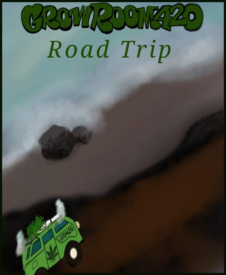 F6BC3B9A-65F6-47C7-A6E1-3C8B2FB0A5F4