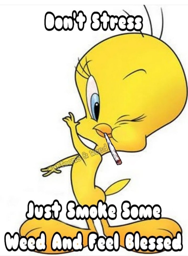 4236D47F-43D1-42D2-A598-0CC2A8841131