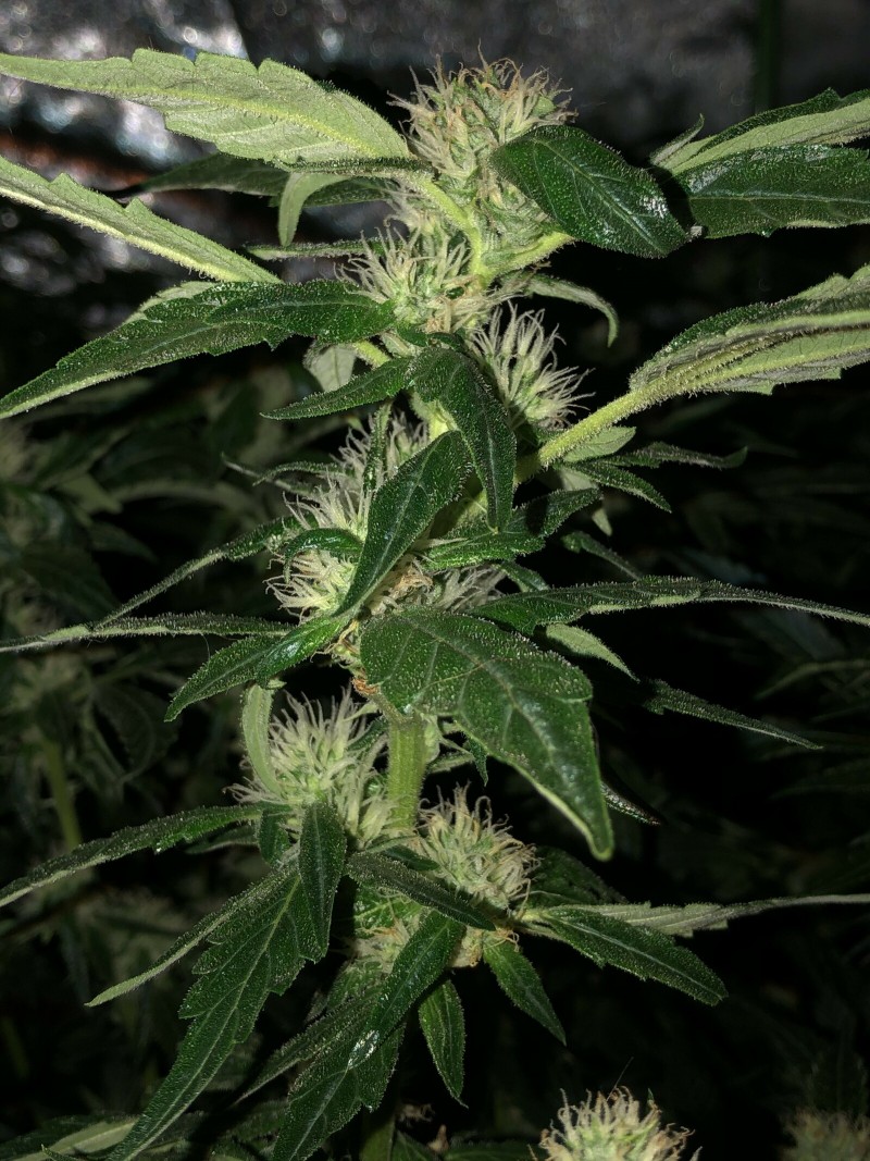 A52421B2-2472-4E74-9E31-09221B27F9DC