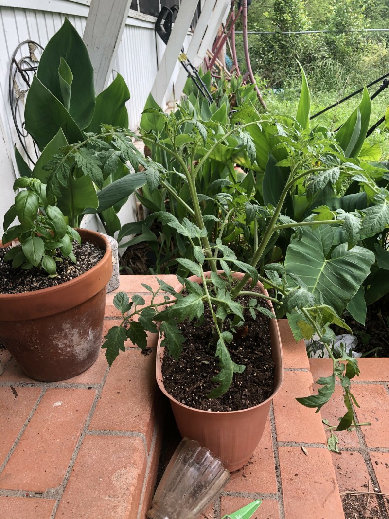 B5DF34B9-ECDF-4156-A3FA-16EB1851FF70