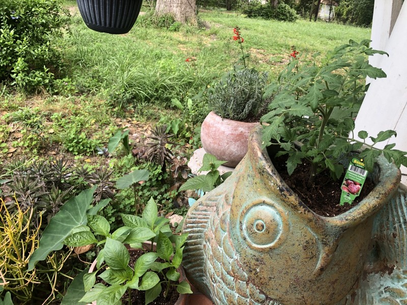 C5CC877A-16FC-4796-8811-7076B7C84BEC