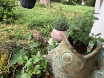 C5CC877A-16FC-4796-8811-7076B7C84BEC