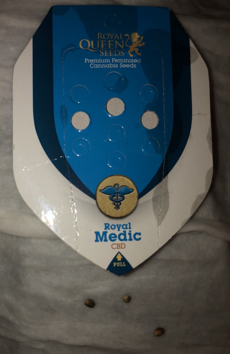 F012FFA8-FAC7-464D-8DDE-624D683BCAF4