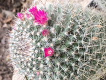 9CFAD318-4F4B-4958-BF50-7BCB21F764B4