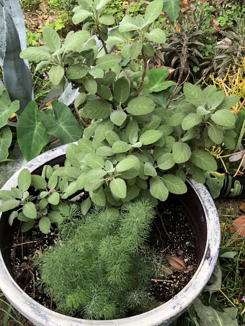 F9A30334-E550-4F7F-8BE7-FCD078823DF7