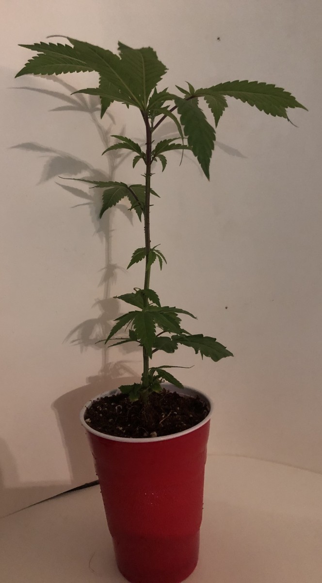 9CDB159F-7B4F-40EB-ACE1-A87A3E5491E6