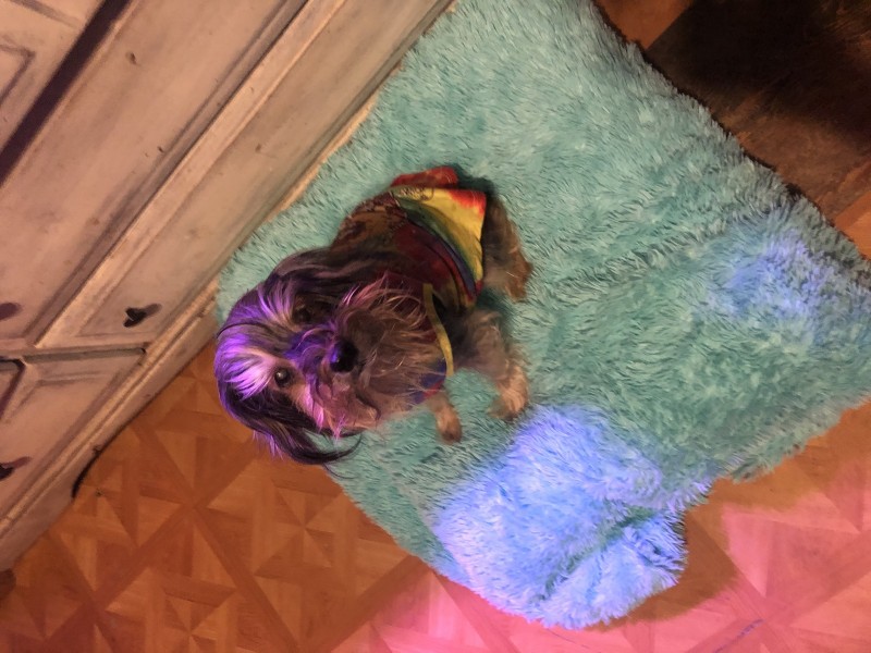 F790DB46-3530-4DD1-8BD7-AFF31D9E7A34