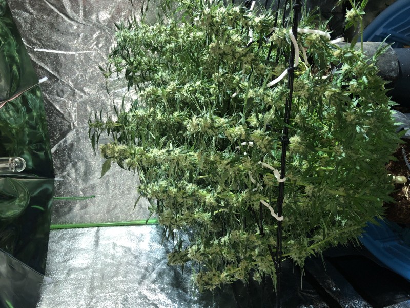 1EABFAC8-7306-458B-8A78-568C975E4E3C