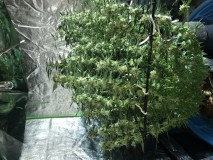 1EABFAC8-7306-458B-8A78-568C975E4E3C