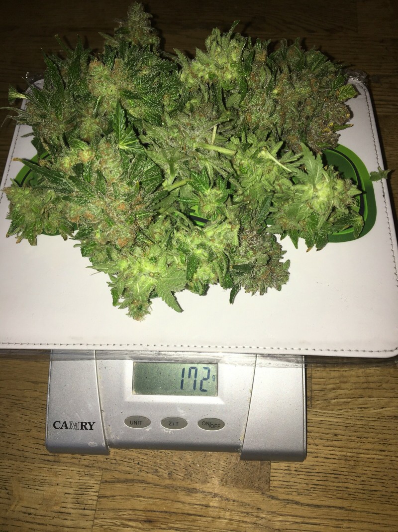 124C06FB-C794-401B-BBAC-877ABF147498