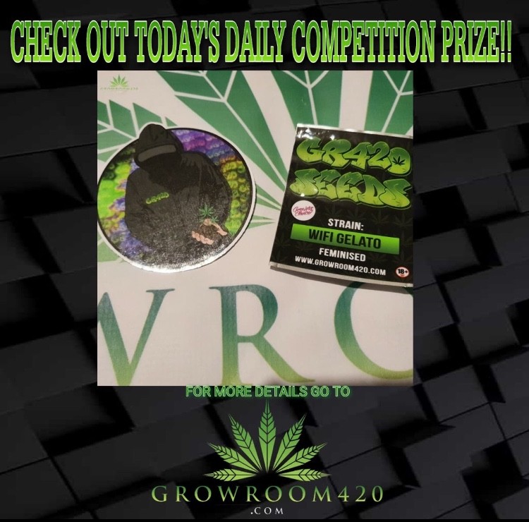 777FB03A-7351-4007-86AD-87EB612895F6