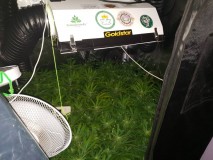 1ec8d7e5c32827fe0a9b5e60b191b068