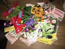 601EB2E8-24DB-4F11-8041-53E692C1AC30