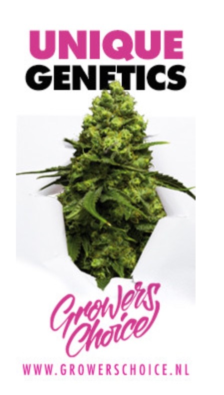 E5CBF28C-7964-43F9-B11F-6441D65EFC4A