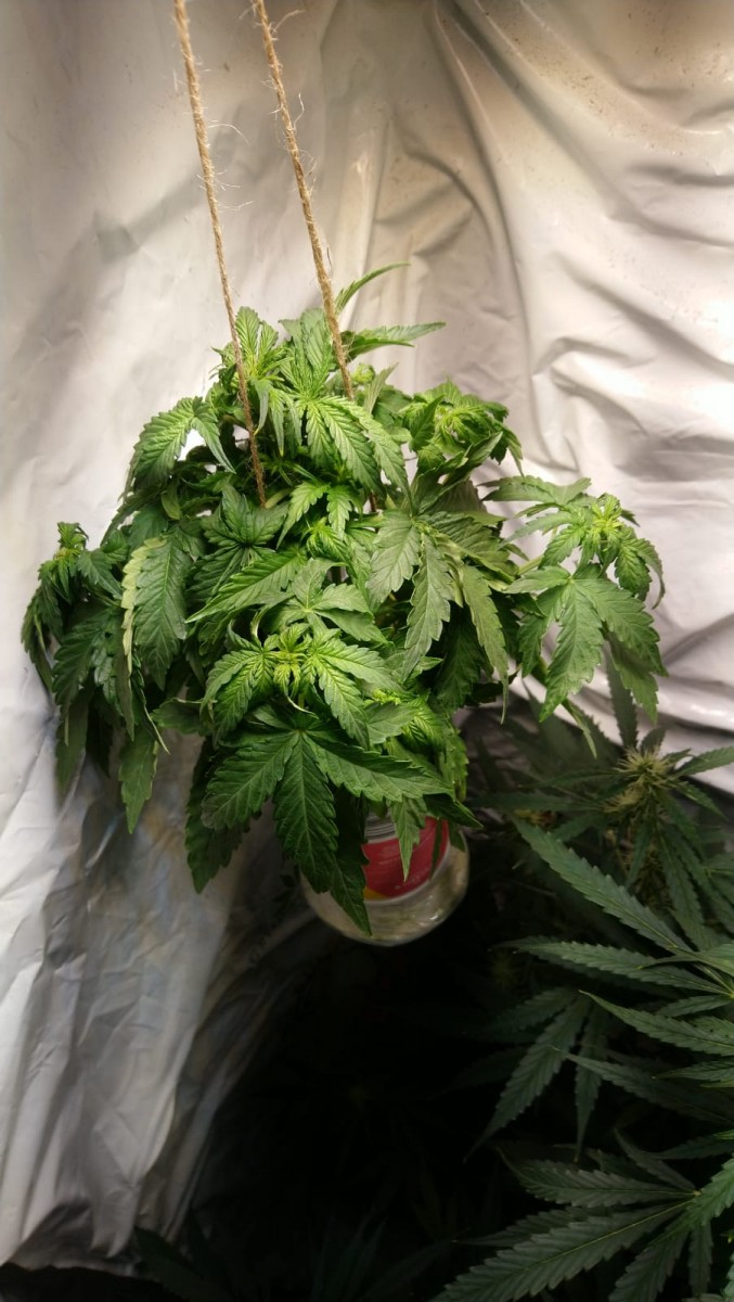 7B673249-223F-486E-9078-9058AE683C89