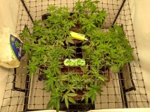 IMG_20200426_120753708_HDR