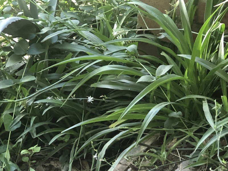 12BE151C-18D9-4261-AB36-437683165ED7