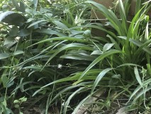 12BE151C-18D9-4261-AB36-437683165ED7