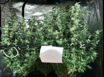 564FDFC0-F158-4989-BF39-5EC7AAA57AE0