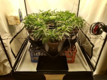 IMG_20200429_200038441_HDR