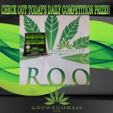 9F2CA333-D8E8-43B8-9C44-F878E23BCC70