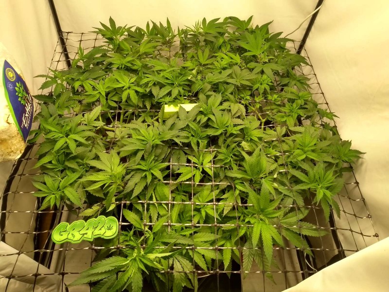 IMG_20200504_175019027_HDR