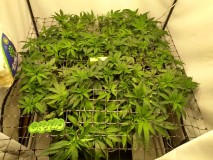 IMG_20200504_175019027_HDR