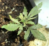 13DC28C9-3150-45E9-B13F-773F6A4462BB